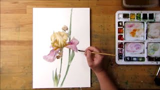 Iris by Underpainting Method  Watercolor Painting [upl. by Ramyar]