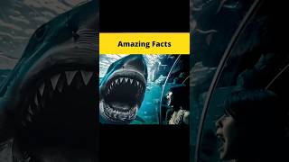 Why No Aquarium Has Great White Shark🦈 shorts amazingfacts factsinhindi dailyfacts facts [upl. by Honey]