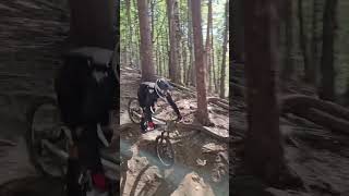 Azuga riding bike mtb downhillbike offroadbike [upl. by Elset]