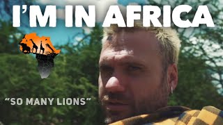 Lions Outside My Tent Africa Travel Video Day 1  Chat With Pat 11 [upl. by Mac75]