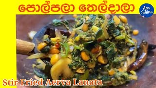 පොල්පලා තෙල්දාලා  Stir Fried Aerva Lanata  Polpala Thel dala [upl. by Hermione]