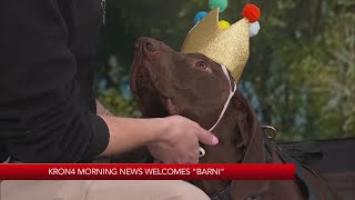 The countrys most pupular dog visits KRON4 [upl. by Hendrick]