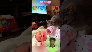 Cute stories about babies and cat ❤️cute animals foryou typAdjustpet cat dog [upl. by Llib306]