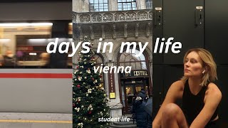 Vlog Studieren in Wien  Lehramt Weihnachten …… [upl. by Ahsikal]