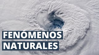 ¿Qué son los fenómenos naturales Tipos y ejemplos ⚡ [upl. by Lasonde]