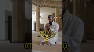 അല്ലാഹു കൂടെയുണ്ട് 😥🤲 shortvideo shorts shortsfeed [upl. by Akehsal]