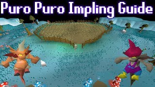 20182019 Complete Puro Puro Impling Hunting Guide [upl. by Idihsar]