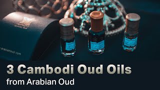 Dehn al Oud Syofi vs Aged Royal Cambodi vs Super Cambodi from Arabian Oud [upl. by Cavan]