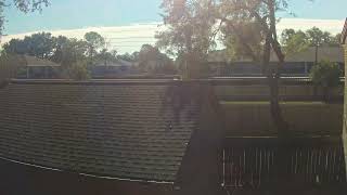 Backyard Timelapse 20241129 [upl. by Merp]