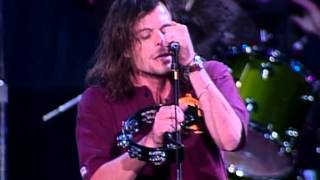 Gin Blossoms  Until I Fall Away Live at Farm Aid 1994 [upl. by Submuloc335]