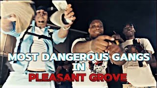 Most Dangerous Gangs in Pleasant Grove [upl. by Pavla866]