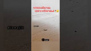 subscriberঅভাগা যেদিকে যায় সাগর ও শুকিয়ে যায় new viralshorts ringtone trendingshorts [upl. by Ahsienar]