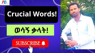 English  Amharic Lesson 04 Vocabulary [upl. by Ahsinid]