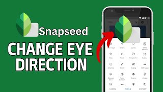 How to Change Eye Direction in Snapseed 2024 [upl. by Odraboel40]