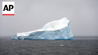 Scientists sound alarm as Antarctic ice melt accelerates [upl. by Aticnemrac]