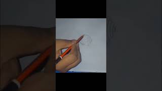 How to draw paila globosa  pencil sketch 🐚 [upl. by Fanny]