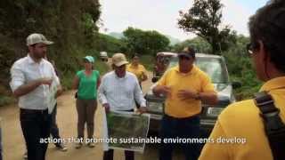 VIDEO PROYECTO BIODIVERSIDAD EN EL SECTOR CAFETERO EN COLOMBIA  Valle del Cauca [upl. by Aay]