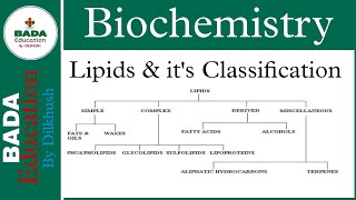 🔥🔥Lipids and its Classification  📚 Biochemistry shorts youtubeshorts [upl. by Pat]