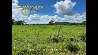 FAZENDA 498 ALQUEIRES PECUÁRIA TOCANTINS 63984111737 [upl. by Fleischer]