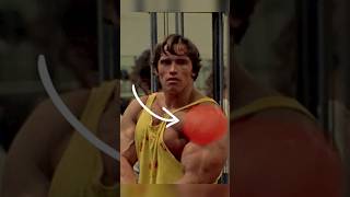 Arnolds Shoulder Training Secret [upl. by Animaj]