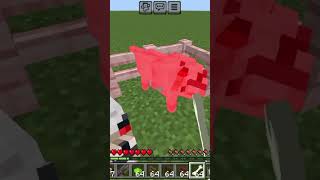 tame dog gone wrong 😔 minecraft funny shorts [upl. by Lazare99]