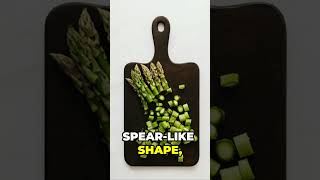 Asparagus Insights A Spear of History shorts asparagusfacts healthyeating vegetablehistory [upl. by Nnyltiac]