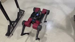 Cart Inverted Pendulum Model based Walking Strategy for Quadruped Robot [upl. by Colas]