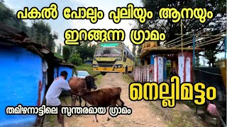 പകൽ പോലും ആനയും പുലിയും ഇറങ്ങുന്ന തമിയനാട്ടിലെ ഗ്രാമം നെല്ലിമട്ടം nilgirimalayali vairal nilgiris [upl. by Norrej]