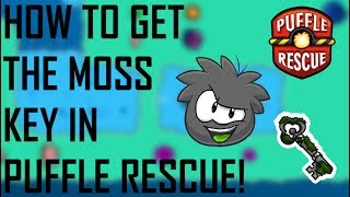 How to get the MOSS KEY in PUFFLE RESCUE [upl. by Ellac]