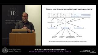 Lecture 2 Christoph Schwarzer  Intracellular signal transduction [upl. by Gnok186]