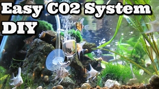 DIY C02 System Fastest and Easiest  Beginners [upl. by Alikahs103]