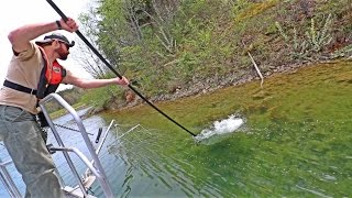 ELECTROFISHING SHOCKING UP BIG BASS With Fish Biologists [upl. by Rawlinson]