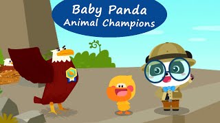 Baby Panda Animal Champions  Meet the Animals in the Sky on Land and in the Sea  BabyBus Games [upl. by Kus]