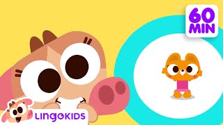 Who Took the Cookie 🔎 🍪  More Nursery Rhymes for Kids  Lingokids [upl. by Alor854]