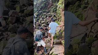 Thrilling Trek Ever at Goa  Forest Trek shorts youtubeshorts shortsfeed ytshorts goa travel [upl. by Harat]