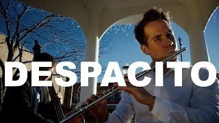 Despacito Cover  Fadro Flute Cello and Double Bass [upl. by Imogene136]