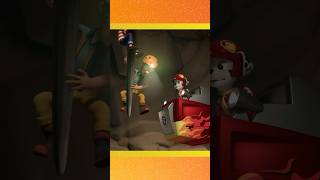 paw patrol rescue wheels 5 shorts [upl. by Beacham655]