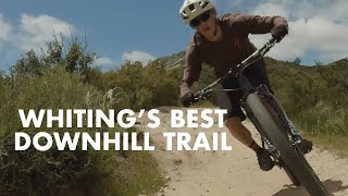 Whiting Ranchs Cactus Trail Flowy Descent You NEED to Ride [upl. by Redleh]