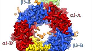 GABAA receptor structural pharmacology [upl. by Falkner]