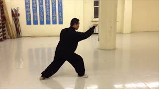 Xing Yi Quan HsingI 河北形意拳  5 Elements SlowMotion Demonstration [upl. by Anilat]