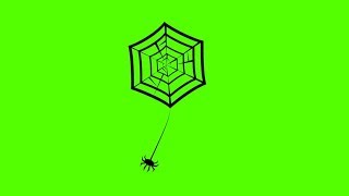 Halloween Spider Web  Green Screen Footage Free [upl. by Nylirehc]