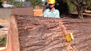 AWESOME Big Redwood Removal and Mill Job [upl. by Anahahs]