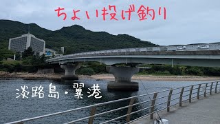 【淡路島・翼港】7月2日のチョイ投げ釣りが最高だった日❗❗ [upl. by Brainard]