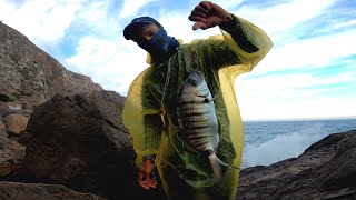 Sargos fishing I camped in a cave by the sea catching fish with simple bait [upl. by Bunns]