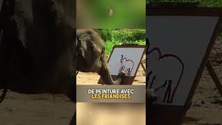 Les 20 Animaux les plus Gentils du Monde [upl. by Sirenay]