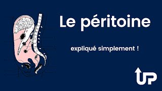 Explication du péritoine [upl. by Delila]