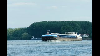 152 Shipspotting Binnenschiffe auf dem Rhein  GMS Bavaria 55 am Eicher See [upl. by Ubana]