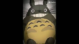 Totoru animemeu amigo totoro [upl. by Nahte]