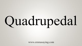 How To Say Quadrupedal [upl. by Caprice]