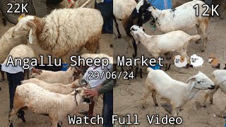 Angallu Sheep Market 🐏🐑🐐 Every Saturday [upl. by Lyrej875]